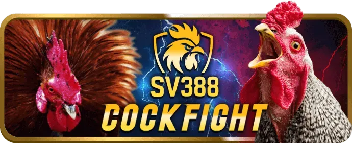 Lỗi hệ thống 999ok